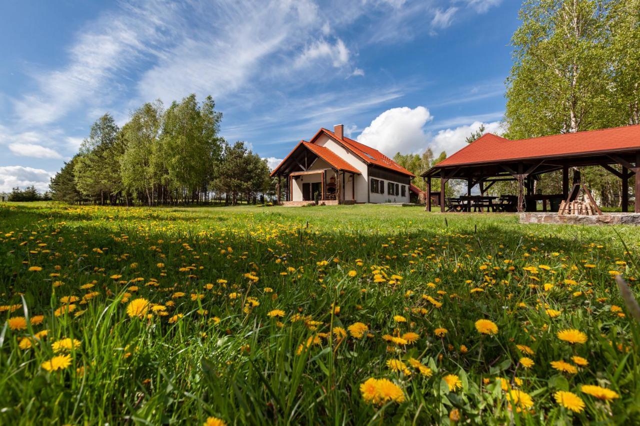 Przytulisko Stara Kiszewa Villa Luaran gambar