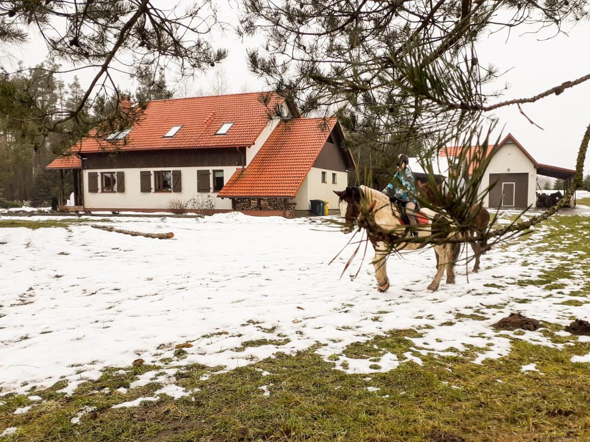 Przytulisko Stara Kiszewa Villa Luaran gambar