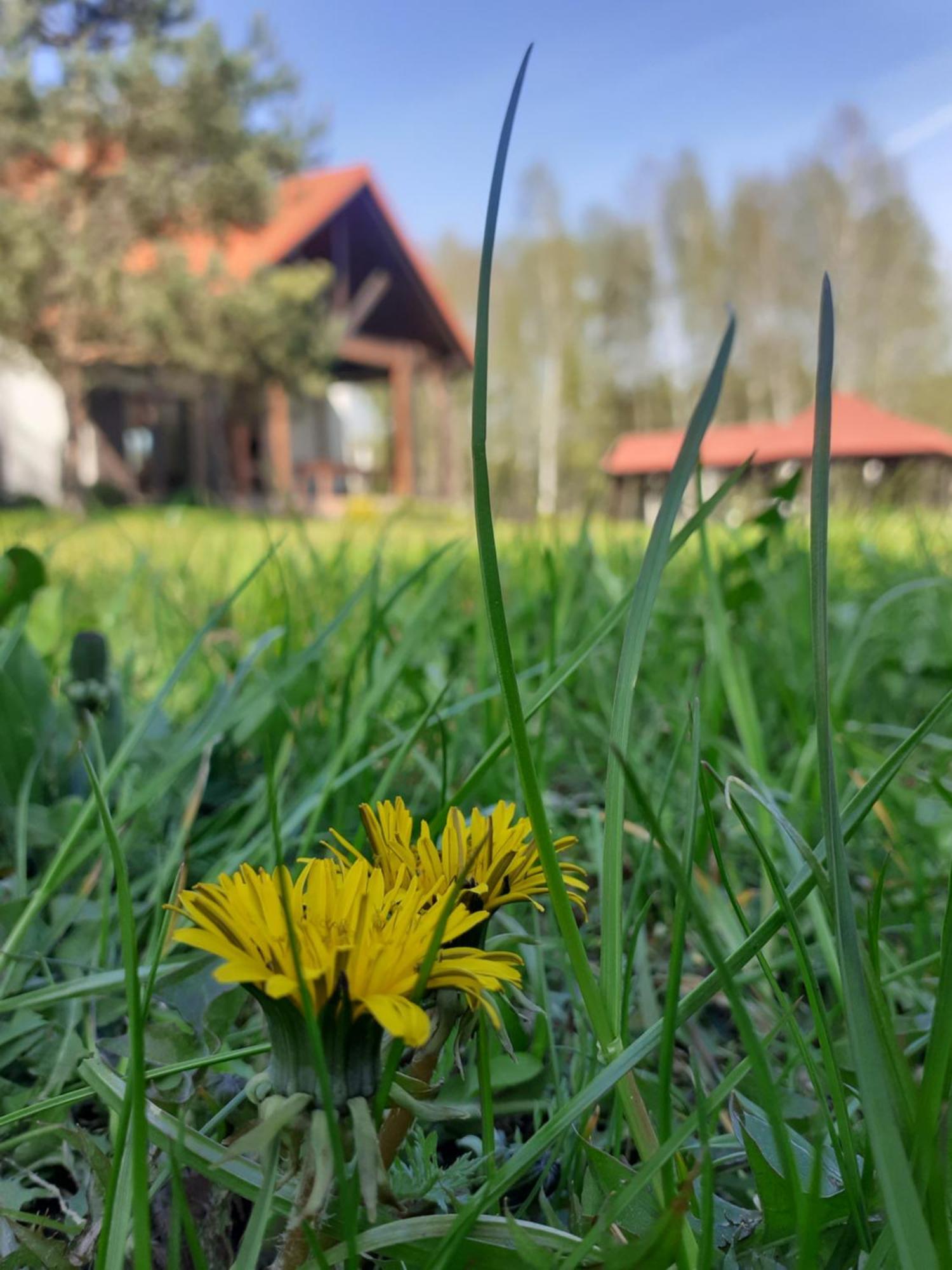 Przytulisko Stara Kiszewa Villa Luaran gambar